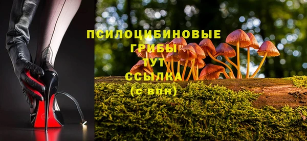 дурь Богданович