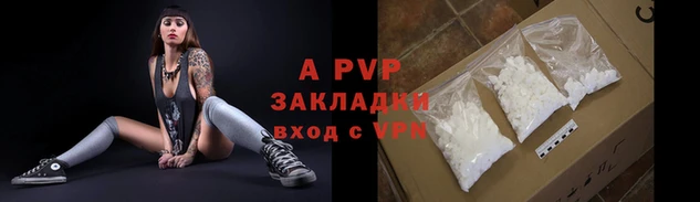дурь Богданович
