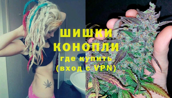 дурь Богданович