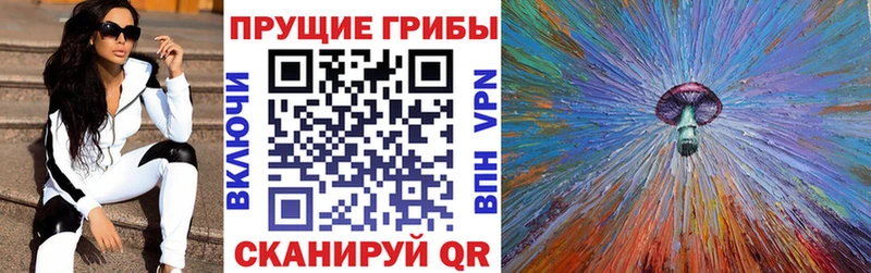 маркетплейс Telegram  хочу   Кола  Галлюциногенные грибы Psilocybe 